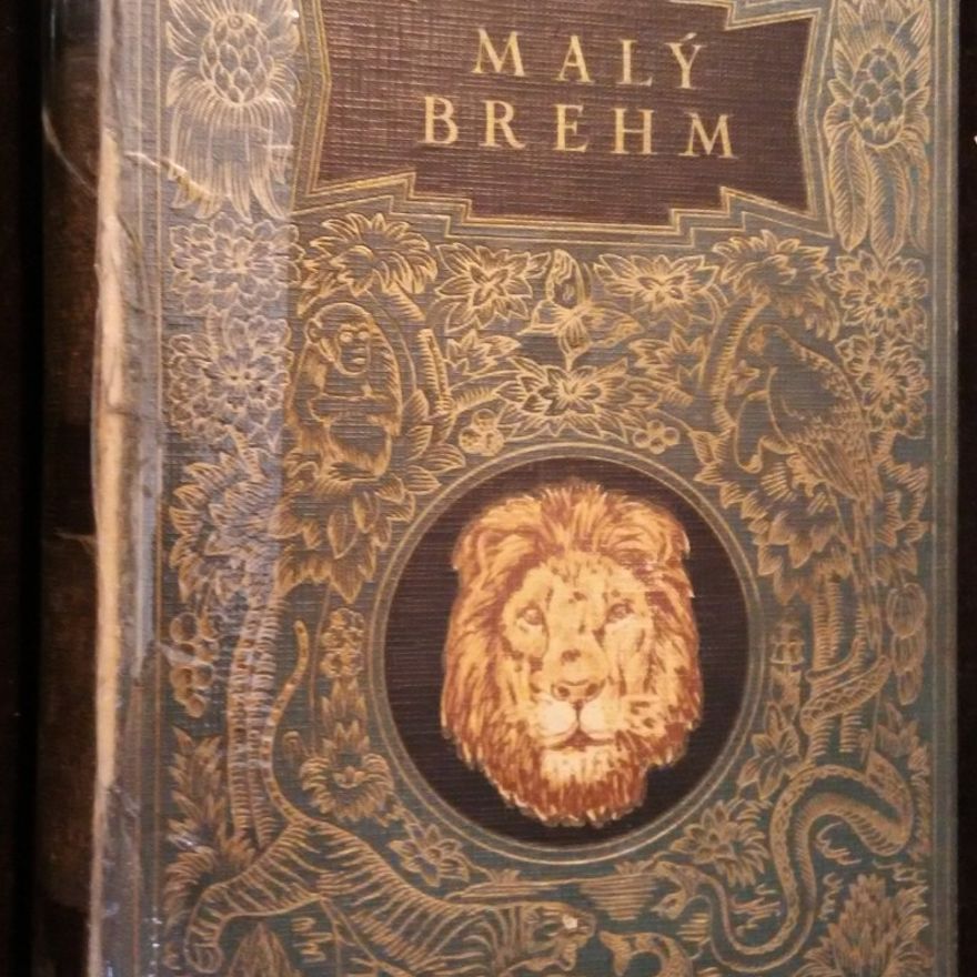 Bohuslav Záborský Malý Brehm. Ssavci