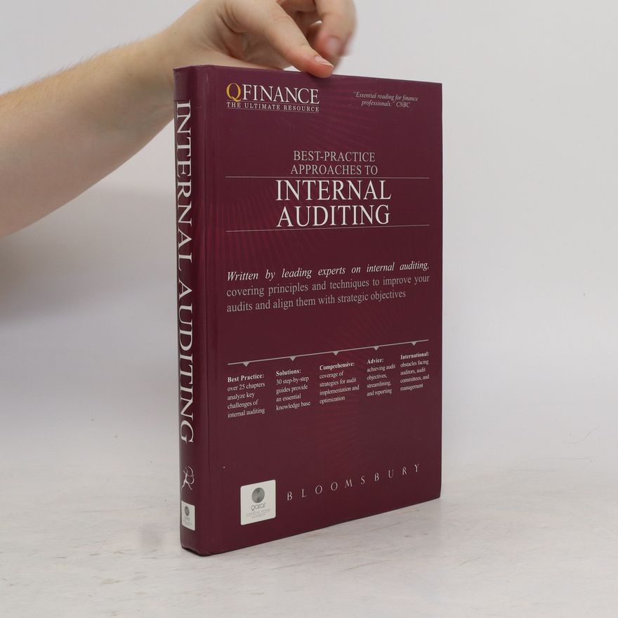 Kolektiv autorů Best-Practice Approaches to Internal Auditing