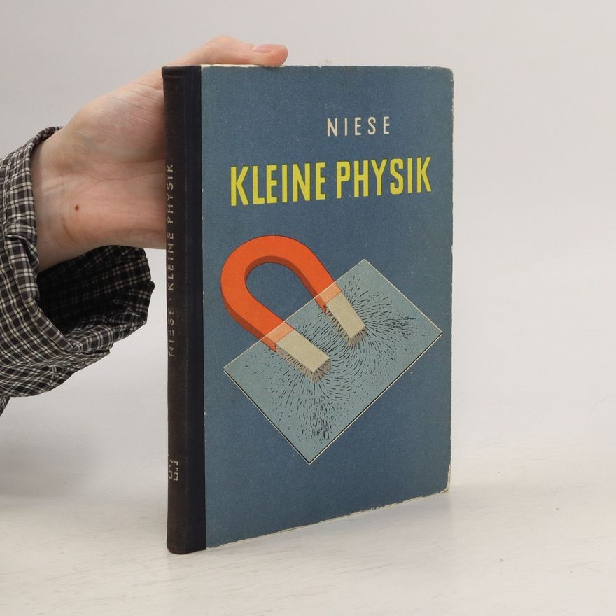 Kolektiv autorů Niese kleine Physik