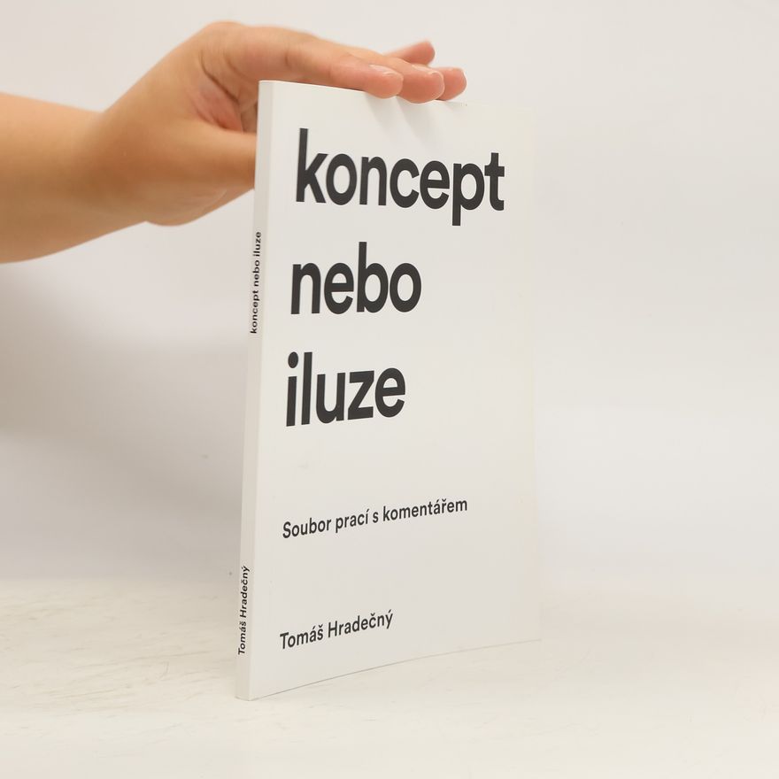 Tomáš Hradečný Koncept nebo iluze : soubor prací s komentářem