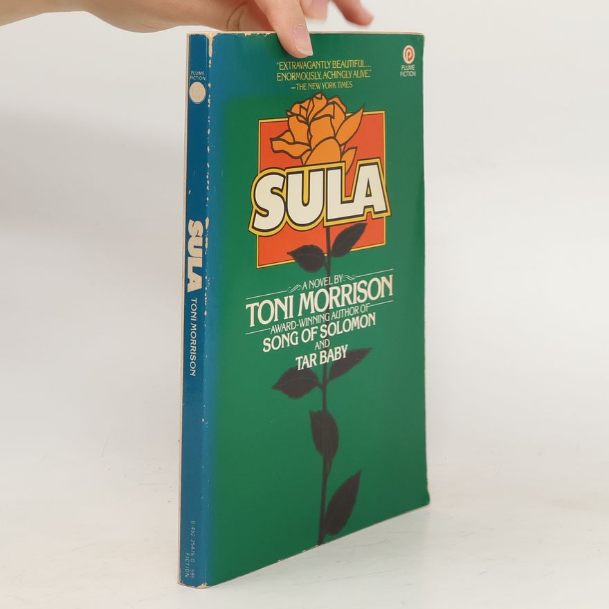 Toni Morrison Sula