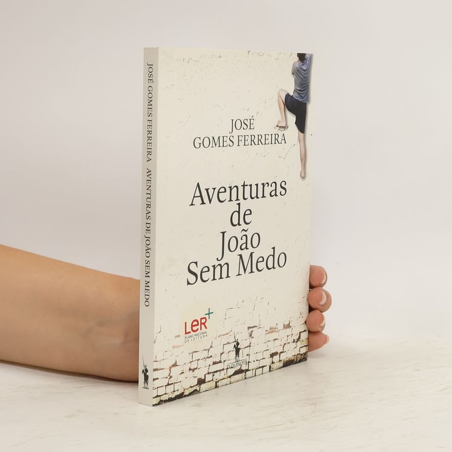 José Gomes Ferreira Aventuras de João Sem Medo