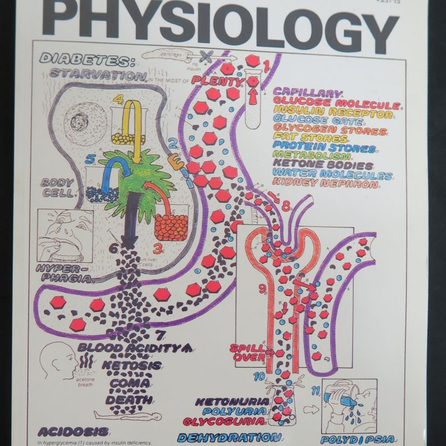 Wynn Kapit The Physiology Coloring Book