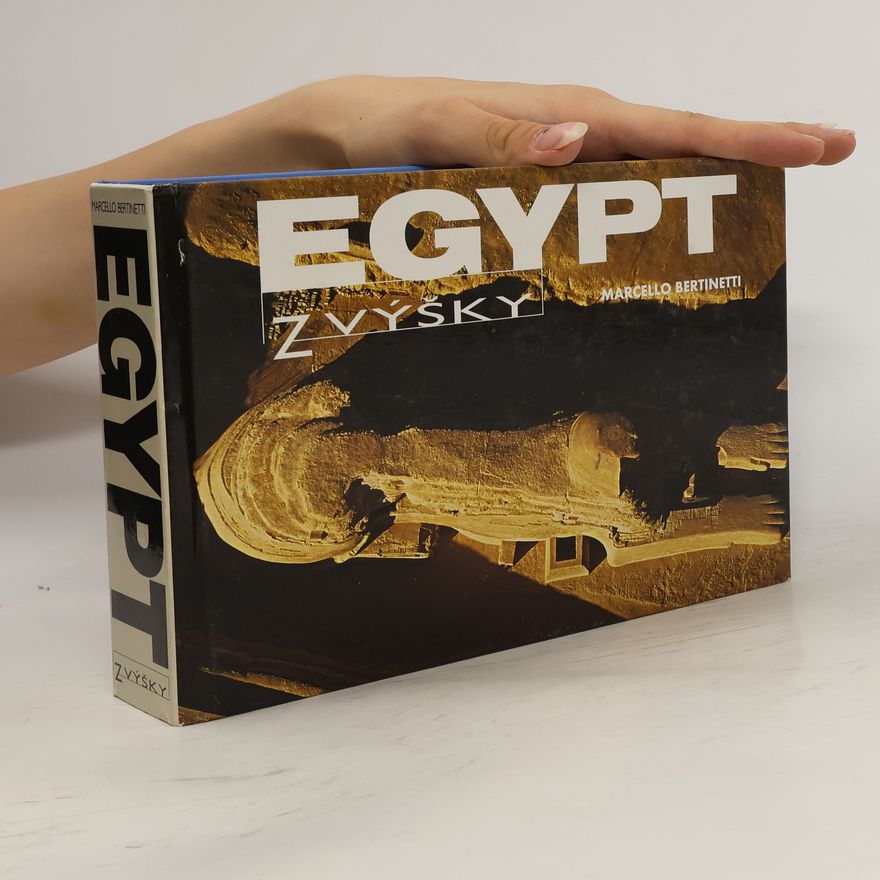 Marcello Bertinetti Egypt z výšky