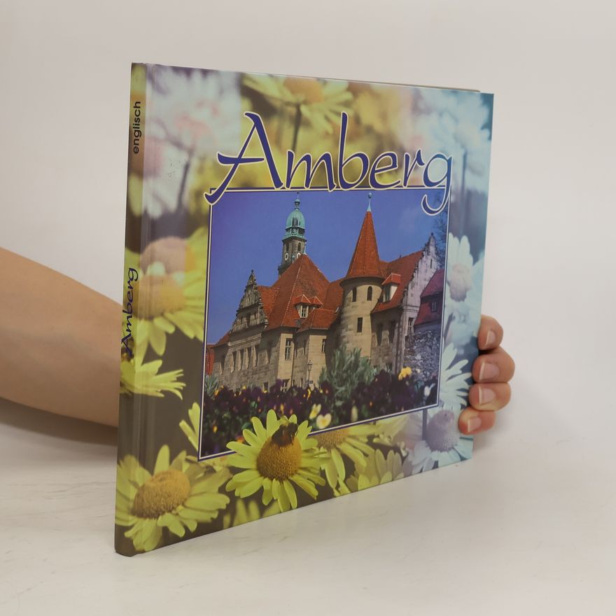 Kolektiv autorů Amberg