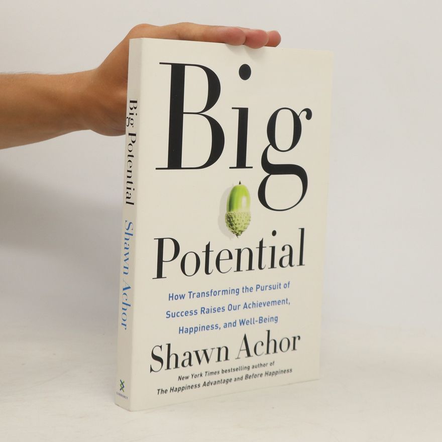Shawn Achor Big Potential