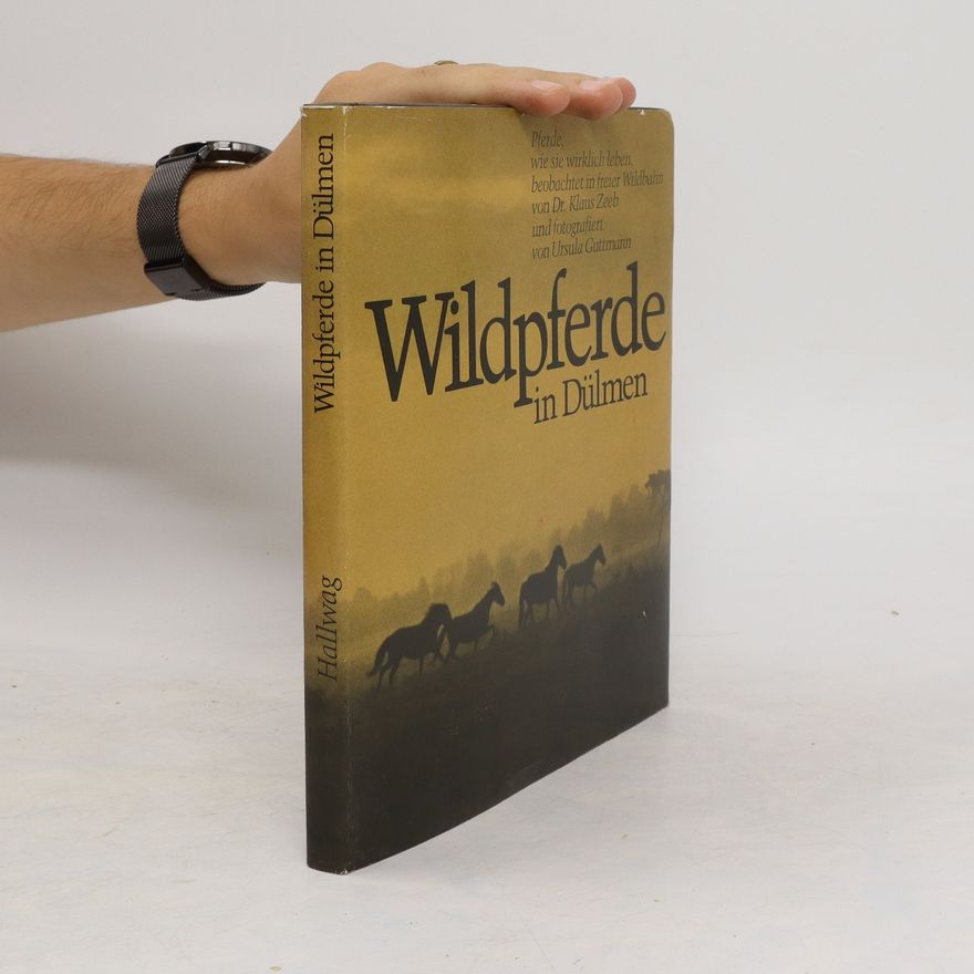 Autorenkollektiv Wildpferde in Dülmen