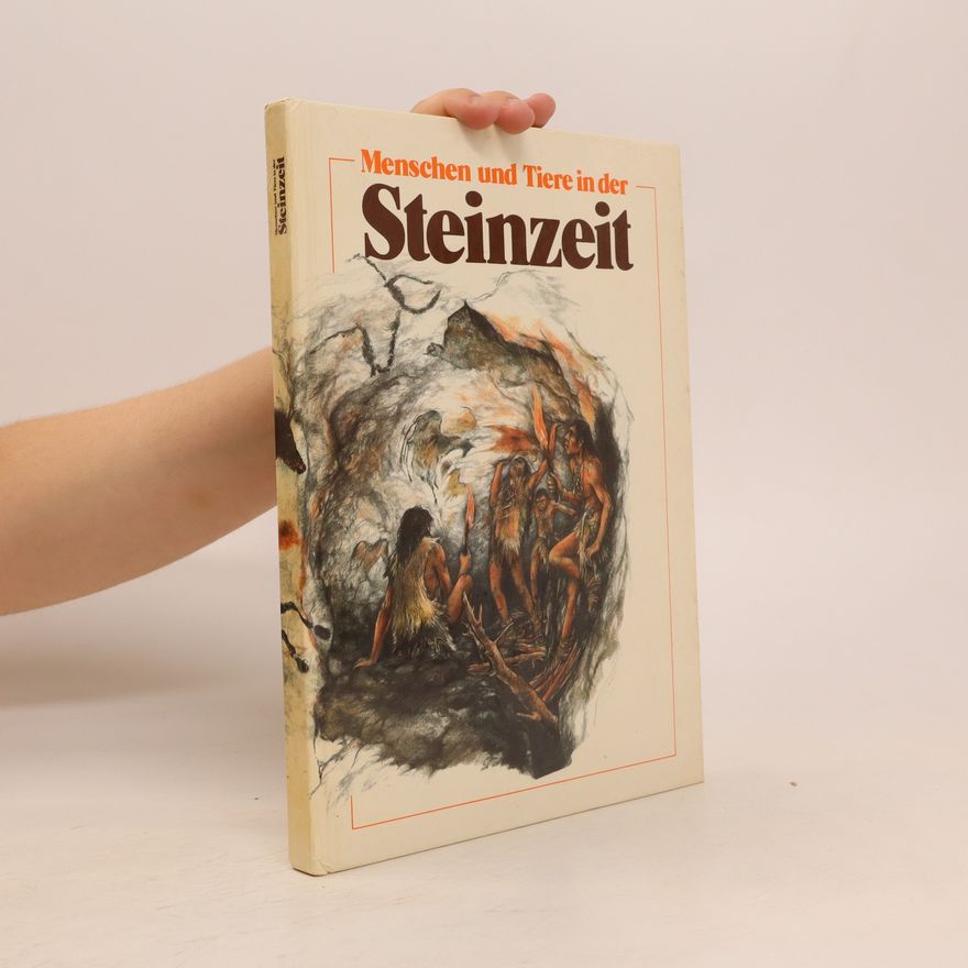 Collectif d'auteurs Steinzeit