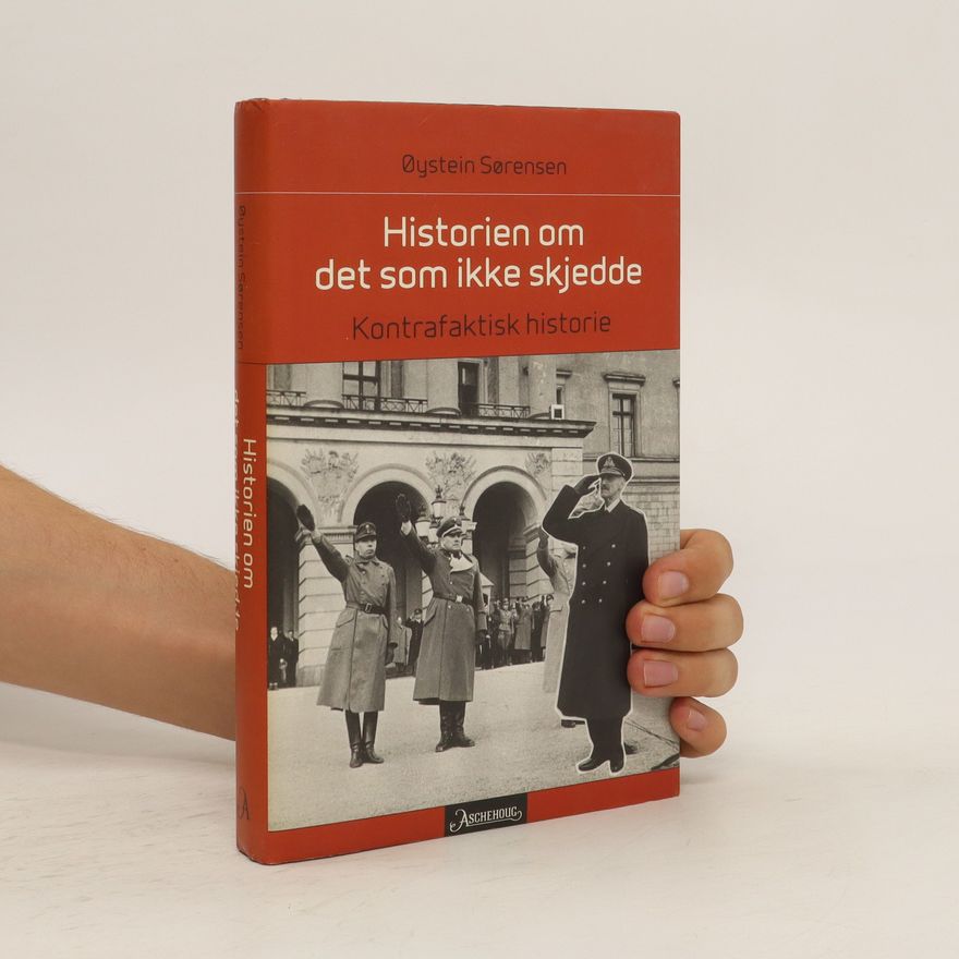 Øystein Sørensen Historien om det som ikke skjedde