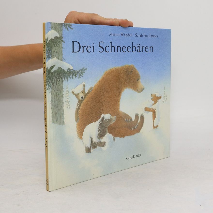 Martin Waddell Drei Schneebären