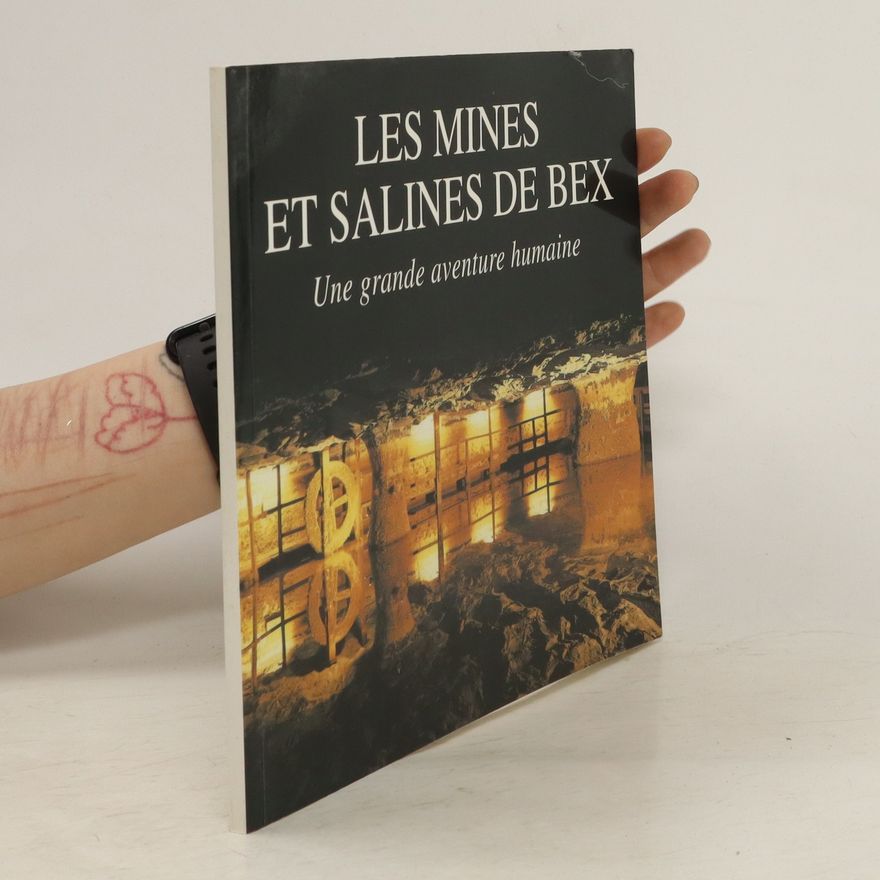 Autorenkollektiv Les Mines et Salines de Bex