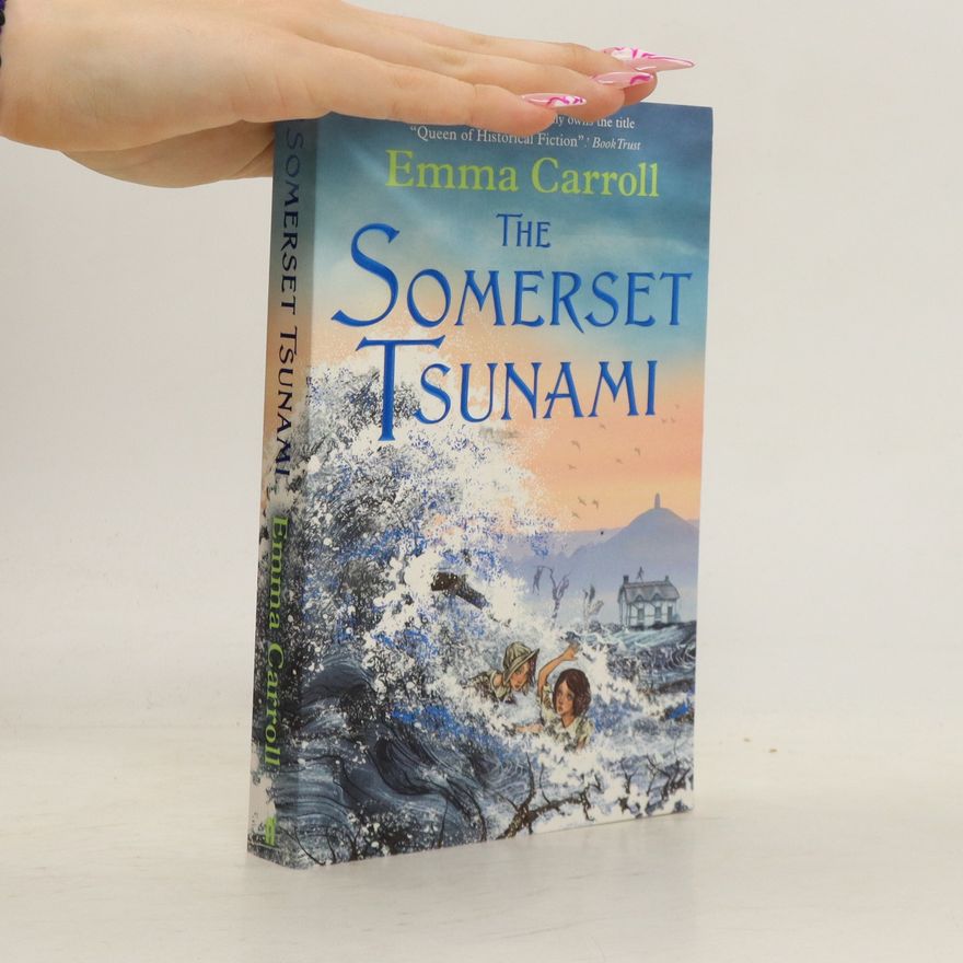 Emma Carroll The Somerset Tsunami