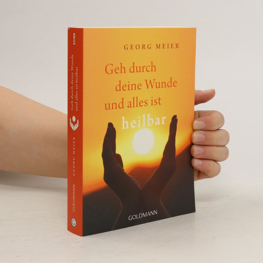 Georg Meier Geh durch deine Wunde und alles ist heilbar