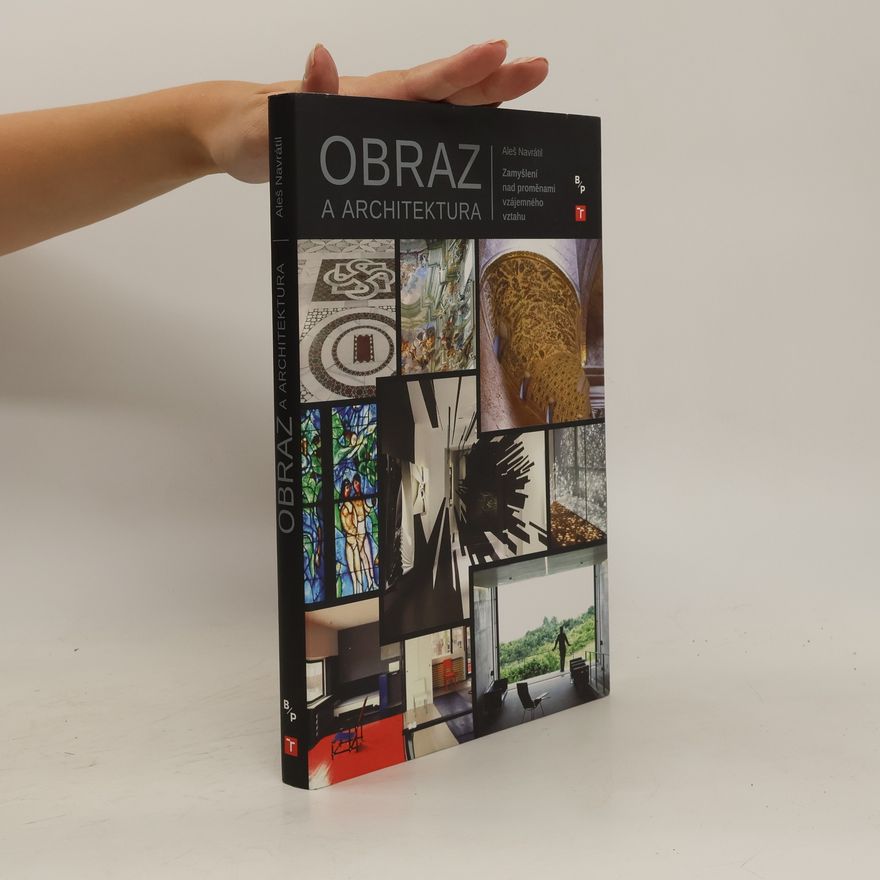 Aleš Navrátil Obraz a architektura