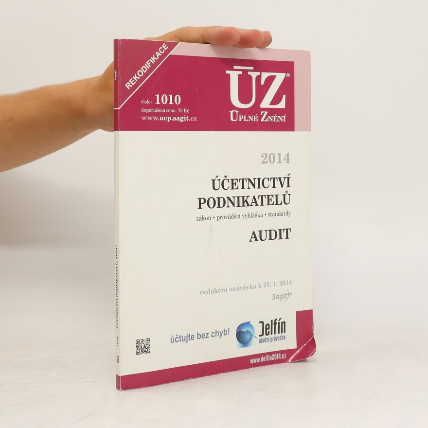 Autorenkollektiv Účetnictví podnikatelů. Audit