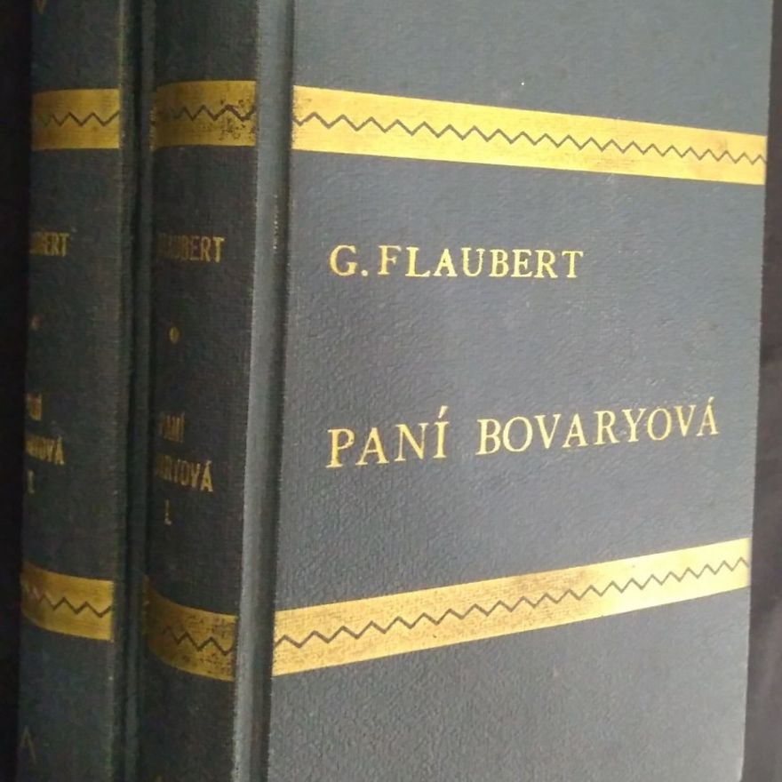 Gustave Flaubert Paní Bovaryová, I. a II. díl