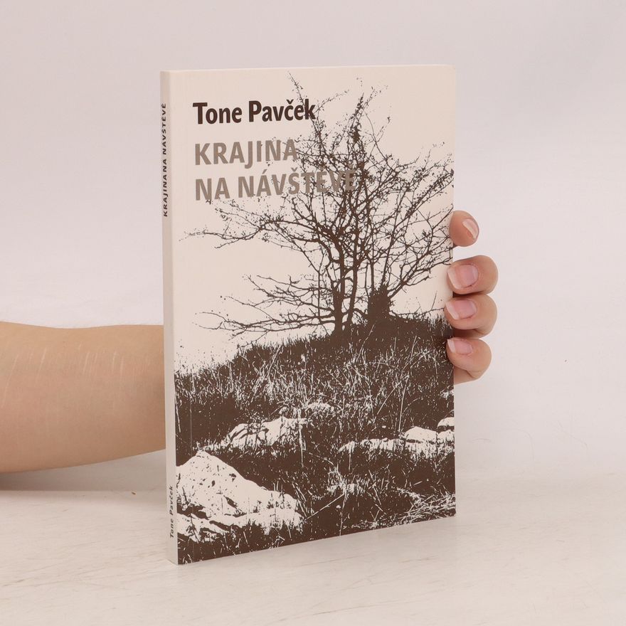 Tone Pavček Krajina na návštěvě