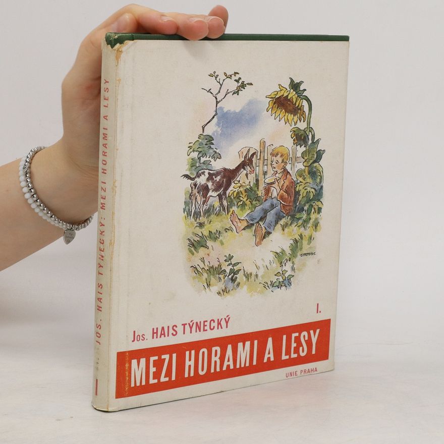 Josef Hais Týnecký Mezi horami a lesy I. Slunečnice