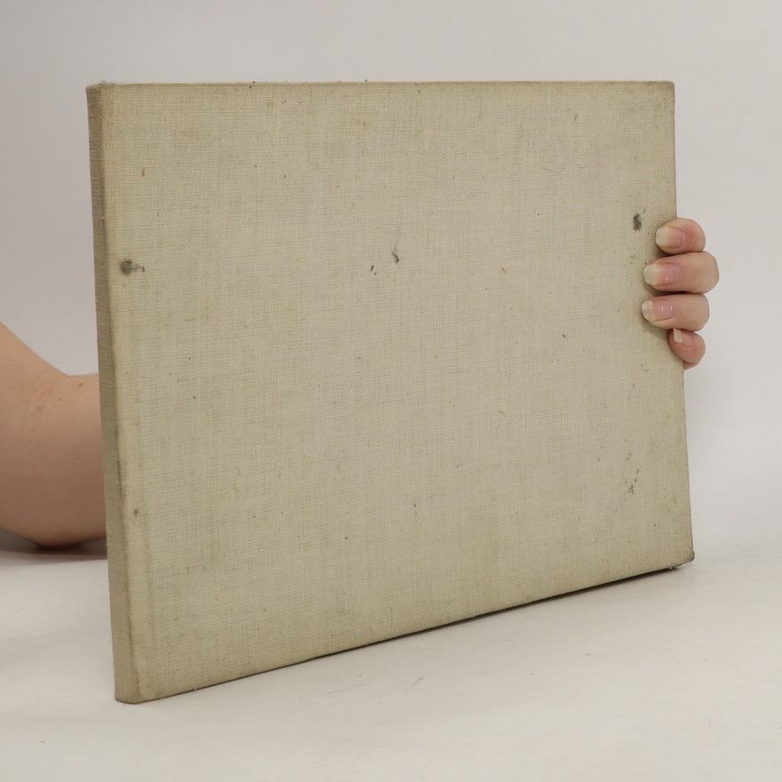 Collectif d'auteurs Almanach Velká Morava