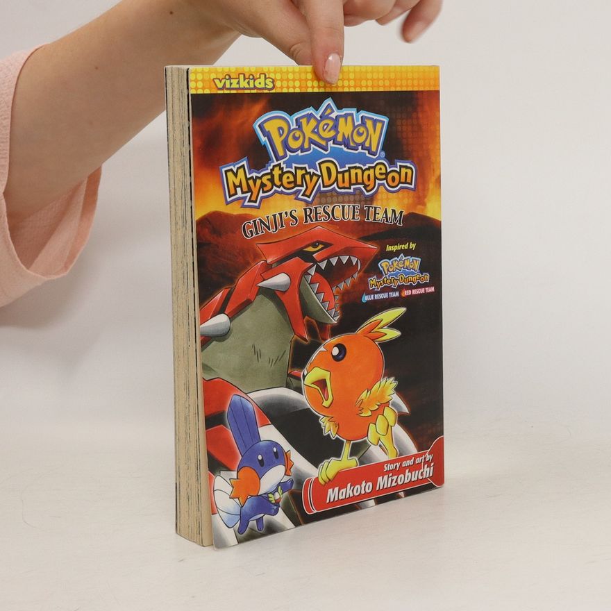 Makato Mizobuchi Pokémon Mystery Dungeon: Ginji's Rescue Team