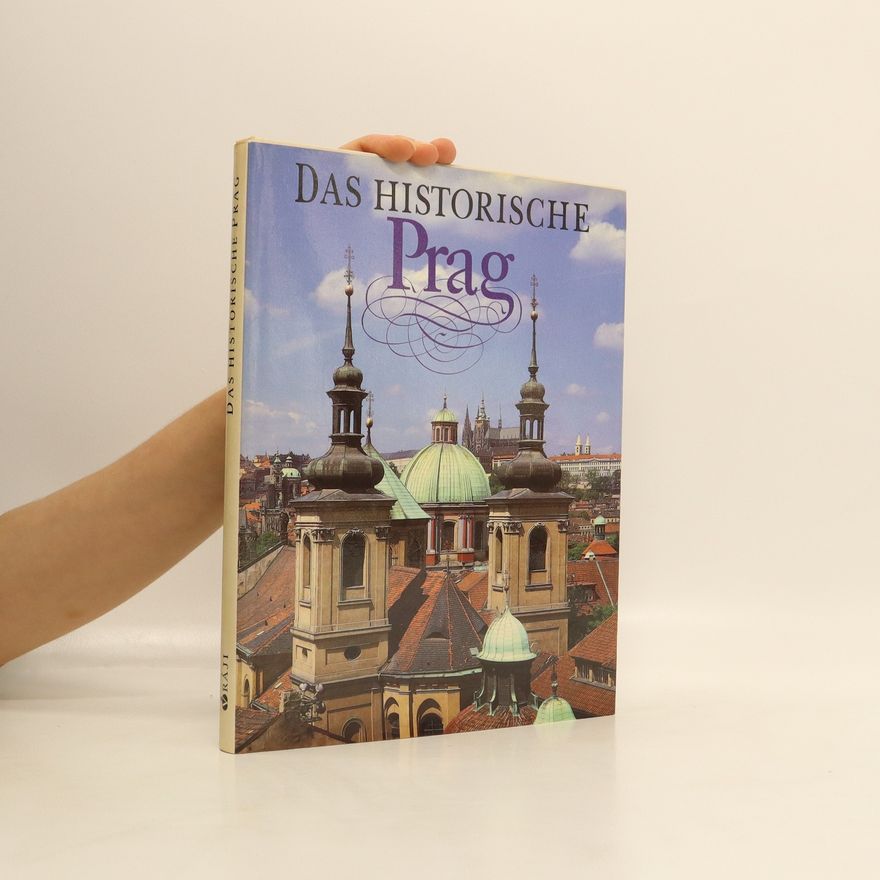 Jiří Doležal Das historische Prag
