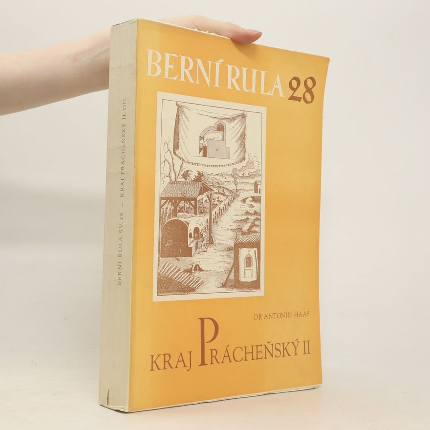 Archiv země České Berní rula. 28, Kraj Prácheňský. II. díl
