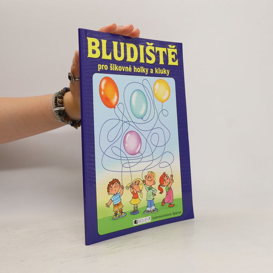 Collectif d'auteurs Bludiště pro šikovné holky a kluky