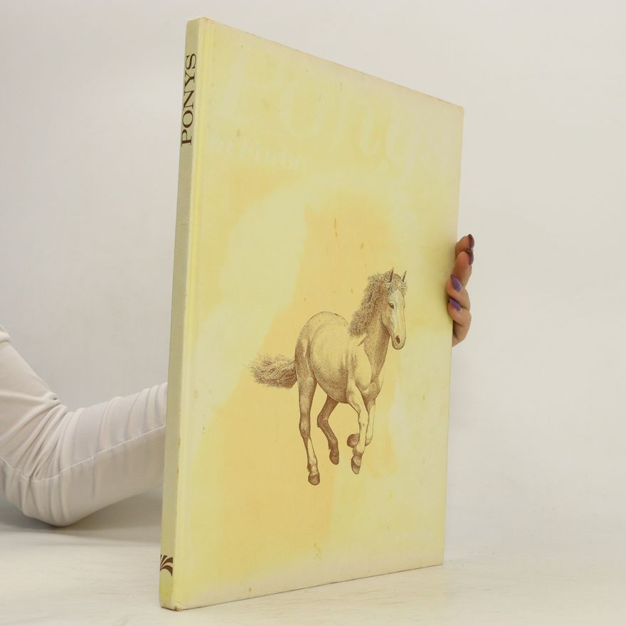 Anne Alock Ponys in Farbe