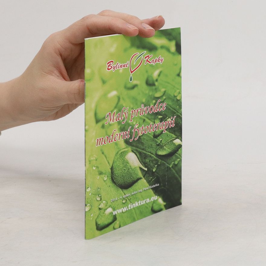 Autorenkollektiv Malý průvodce moderní fyzioterapií
