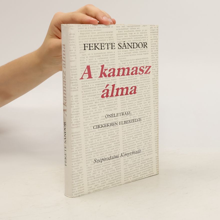 Sándor Fekete A kamasz álma
