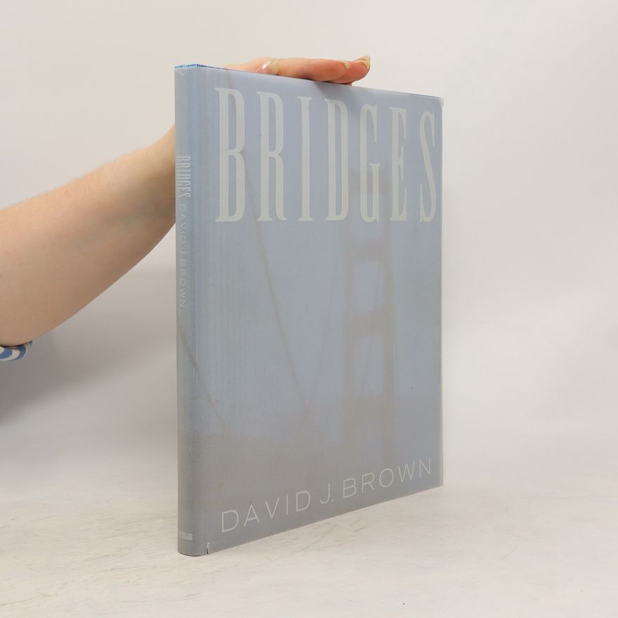 David J. Brown Bridges