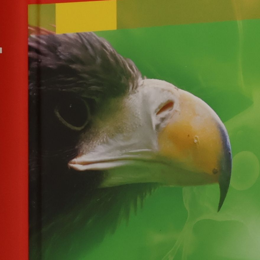 Olaf Fritsche Biologie für Einsteiger