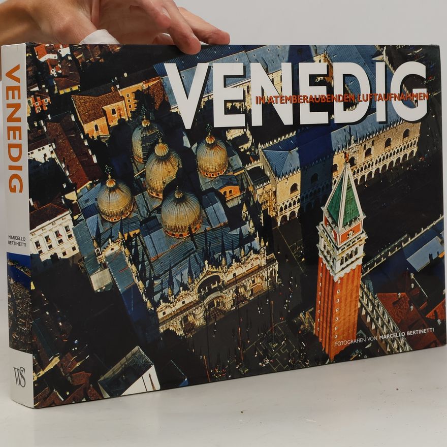 Antonio Attini Venedig in atemberaubenden Luftaufnahmen