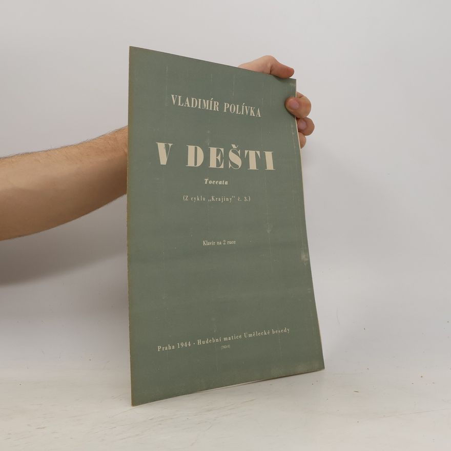 Vladimír Polívka V dešti