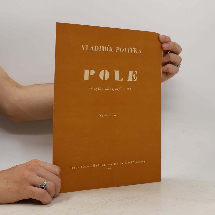 Vladimír Polívka Pole ( Z cyklu ,,Krajiny" č.2)