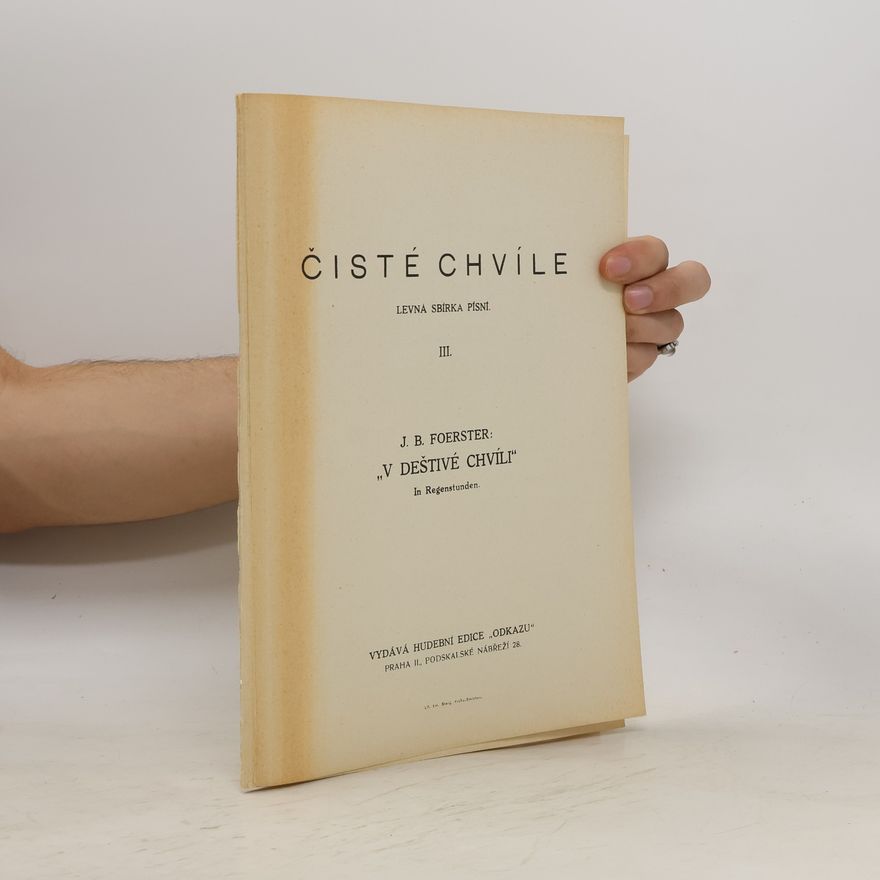 J. B. Foerster V deštivé chvíli