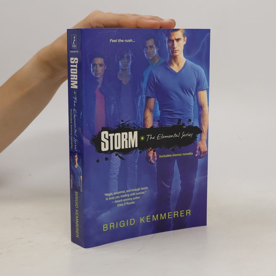 Brigid Kemmerer Storm. The Elemental Series