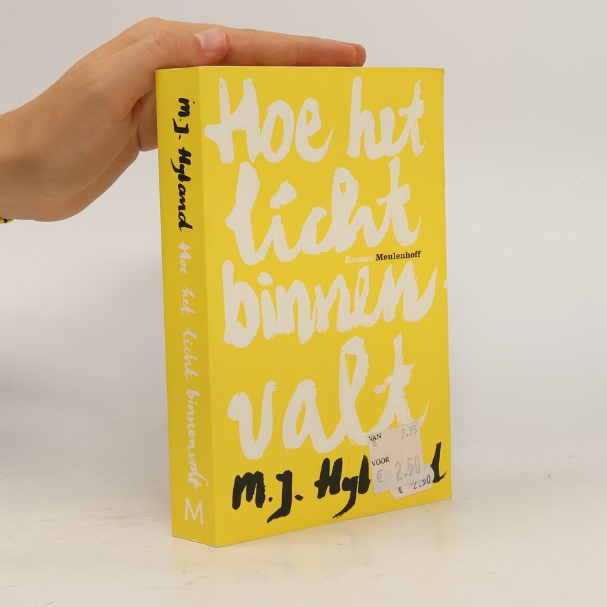 M. J. (Maria Joan) Hyland Hoe het licht binnenvalt