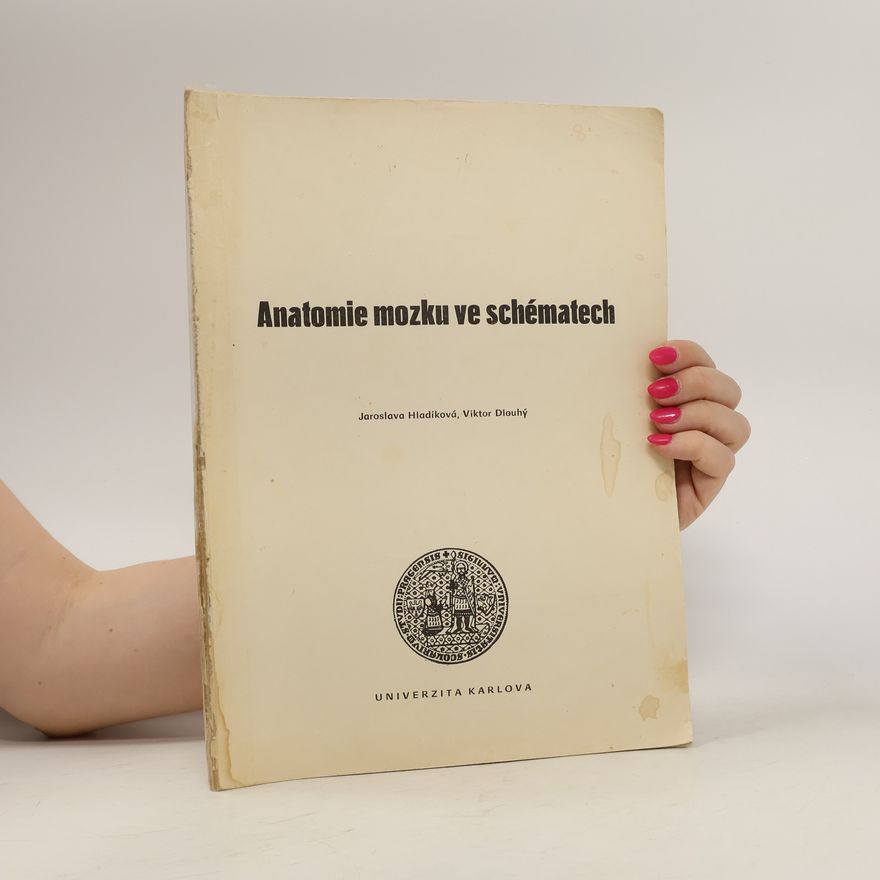 Viktor Dlouhý Anatomie mozku ve schématech