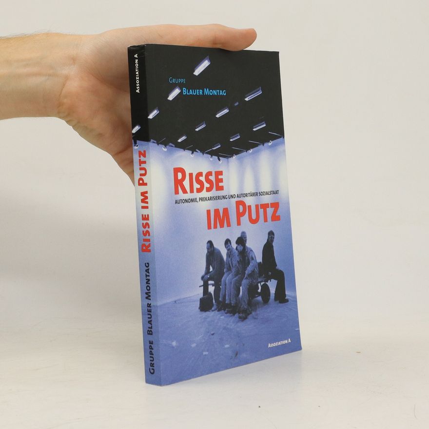Autorenkollektiv Risse im Putz