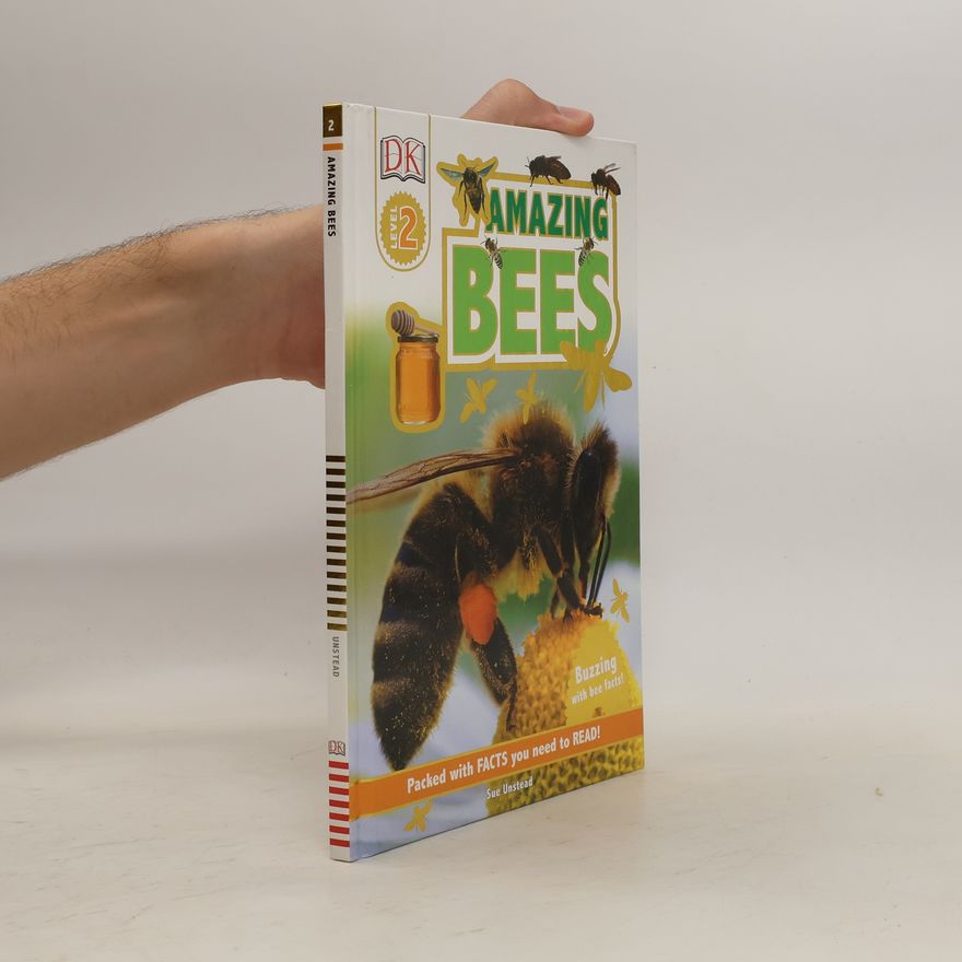 Sue Unstead Amazing Bees