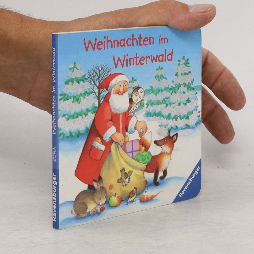 Kolektiv autorů Weihnachten im Winterwald