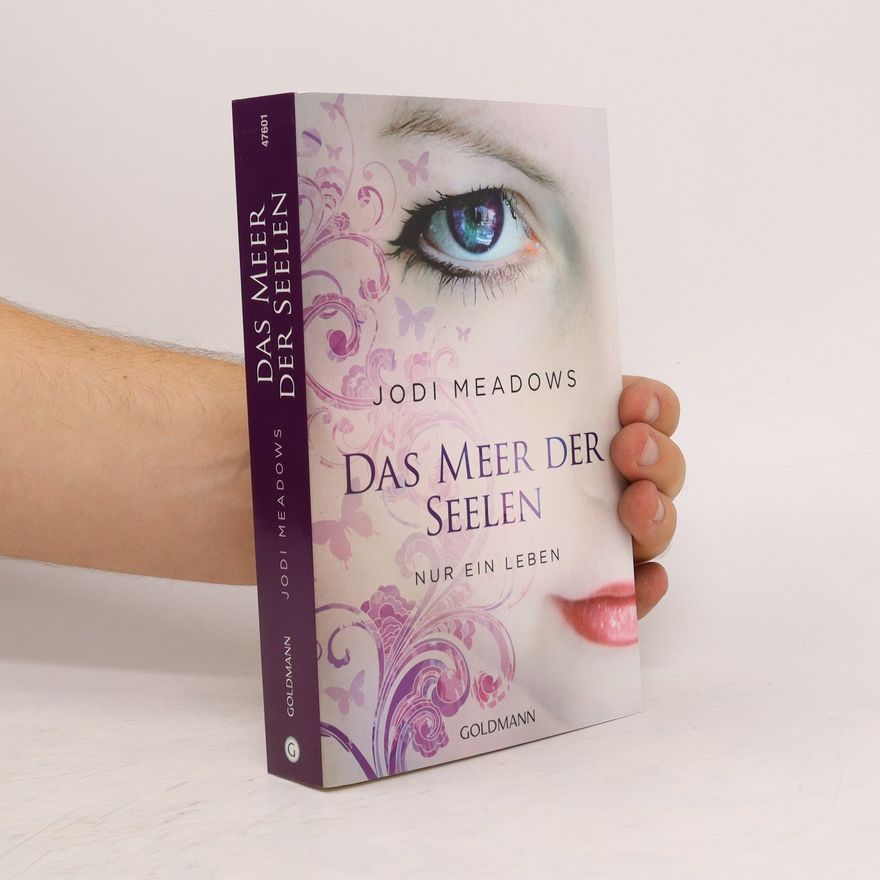 Jodi Meadows Das Meer der Seelen