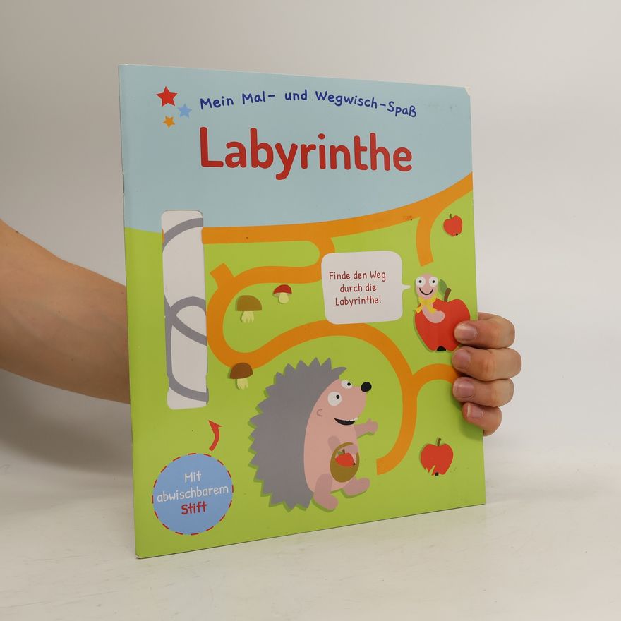 Autorenkollektiv Mein Mal- und Wegwisch-Spaß. Labyrinthe