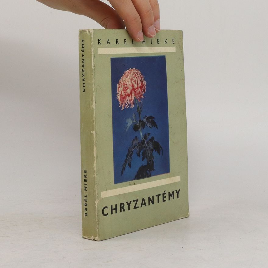 Karel Hieke Chryzantémy