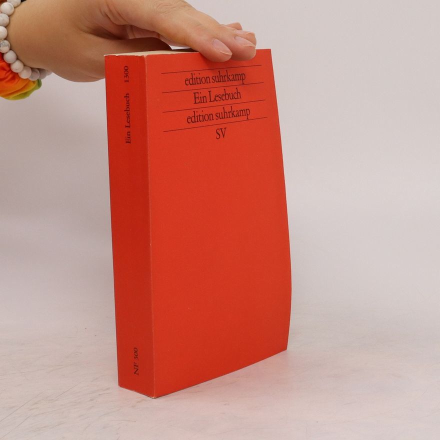 Raimund Fellinger Ein Lesebuch