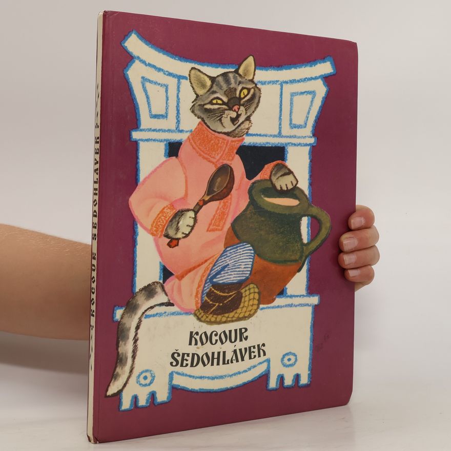 Kolektiv autorů Kocour Šedohlávek