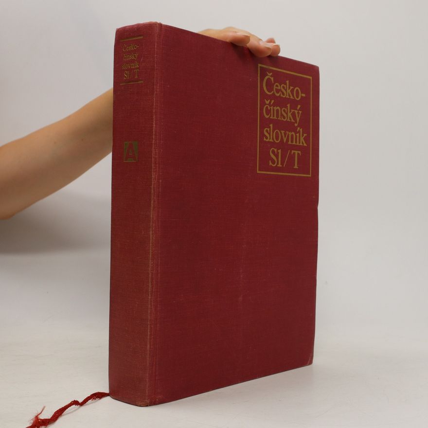 Autorenkollektiv Česko-čínský slovník (S1/T)