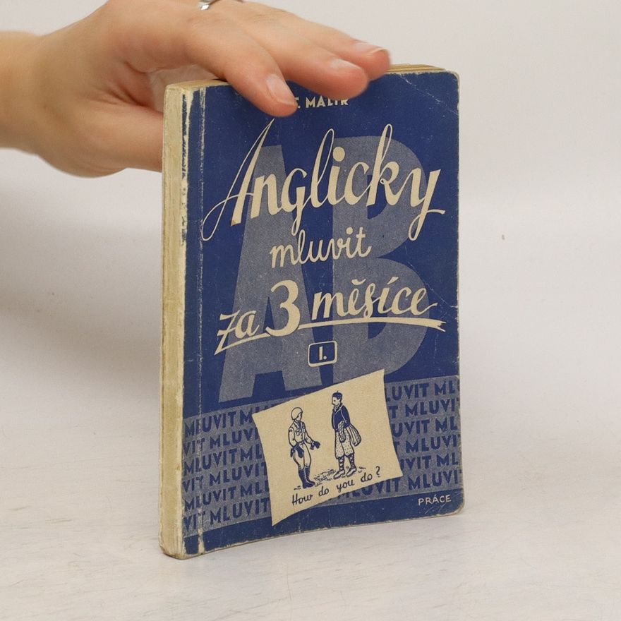 František Malíř Anglicky mluvit za tři měsíce. II., Procvičování