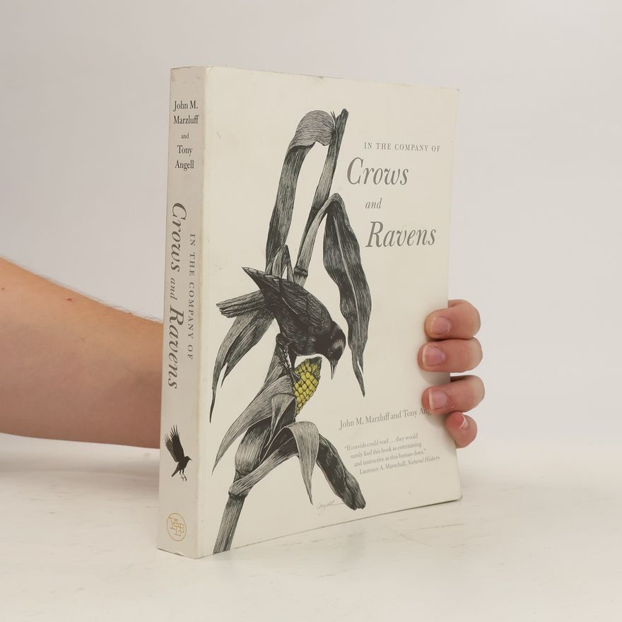Tony Angell In the Company of Crows and Ravens